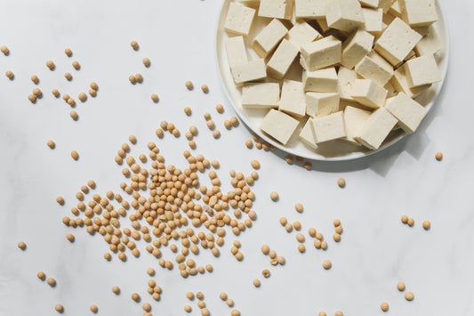 Le tofu et son histoire : mieux connaître cet ingrédient génial